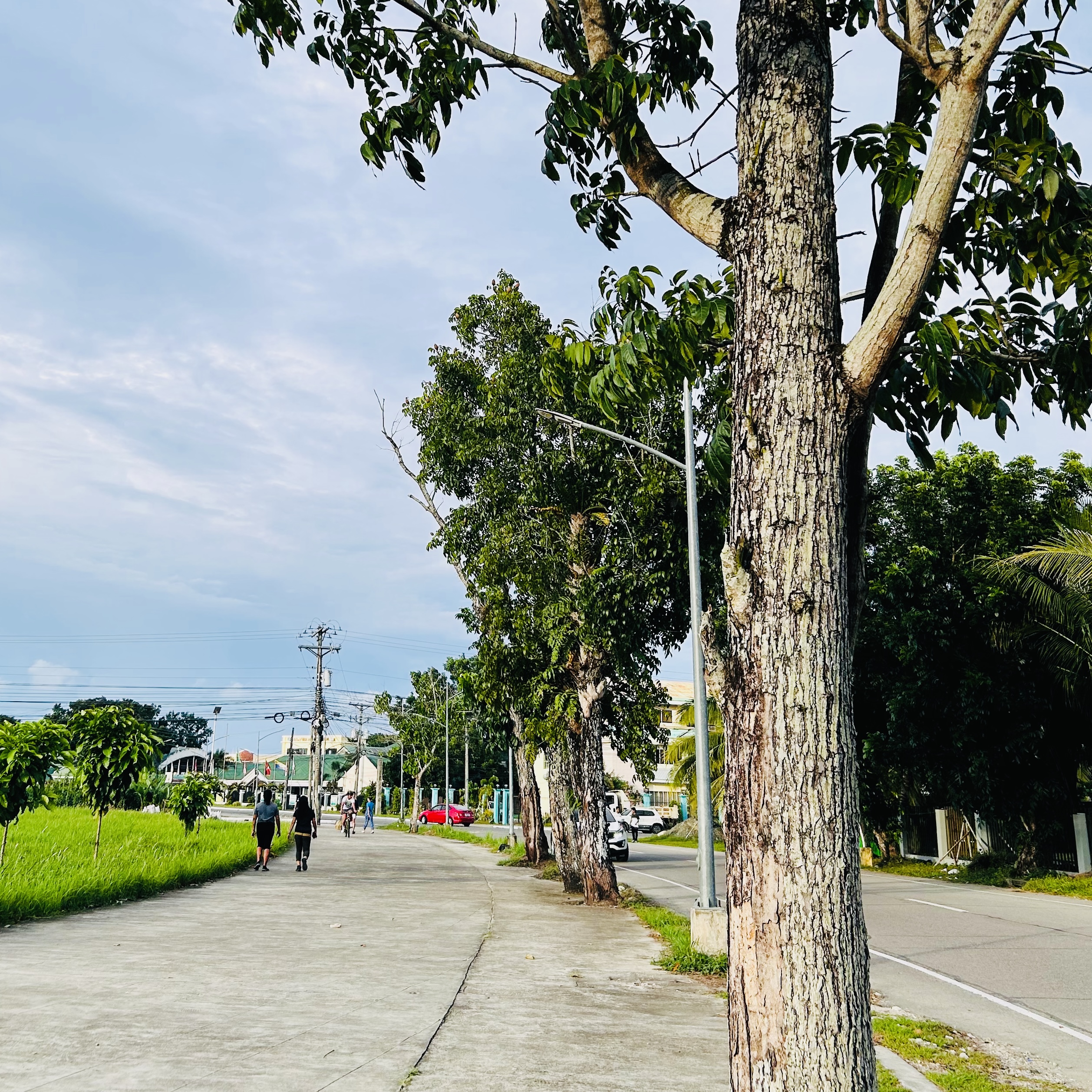Provincial Walks Can Boost Your Metabolism (Even Without a Gym)