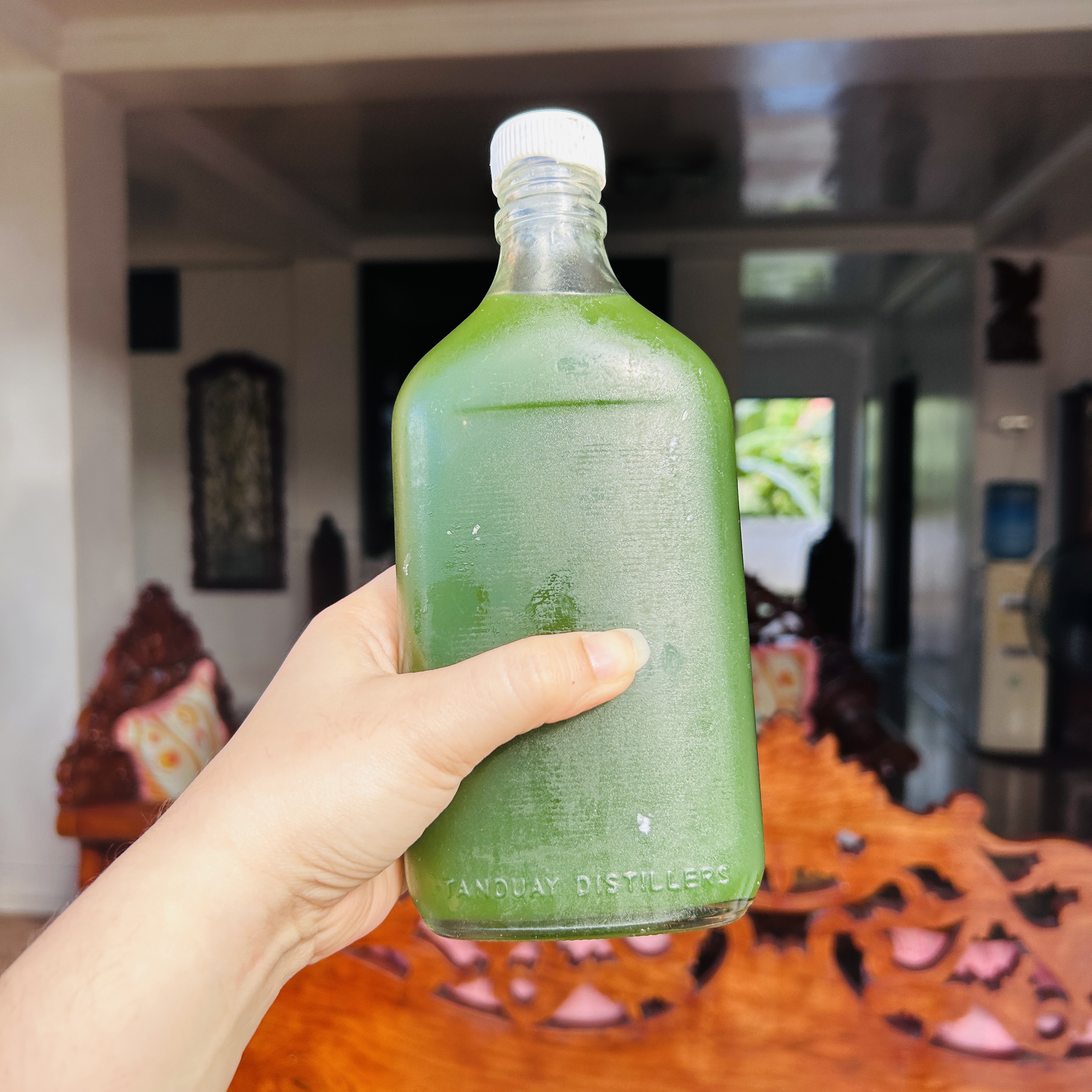 Green Honey: The Rare Honey That Keeps Appearing in My Dad’s Kitchen